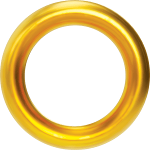 This is the Avatar Image for the Ring (Sonic the Hedgehog Series) AI Voice and Text to Speech Generator